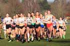 Womens under-17s 2025 Northern Cross Country Champs, Tatton Park, Knutsford, Cheshire. Photo: David T. Hewitson/Sports for All Pics